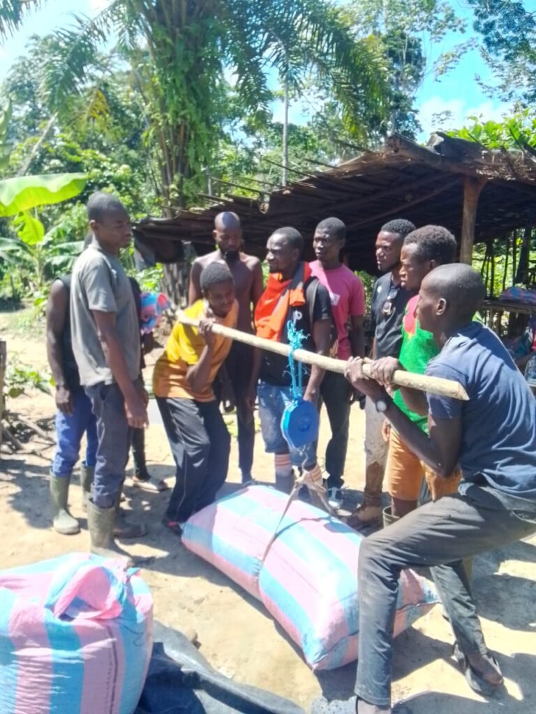 WhatsApp Image 2025-10-15 at 19.22.04